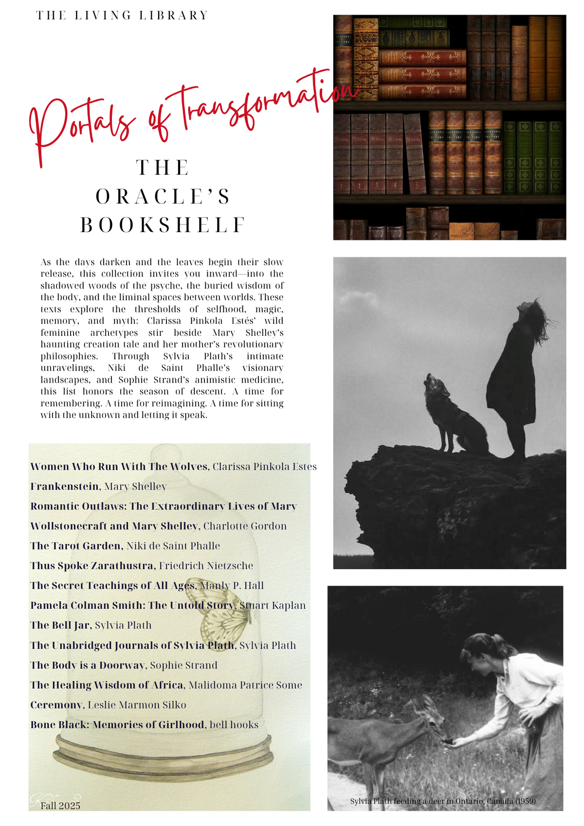 the Oracle's Bookshelf: Portals of Transformation