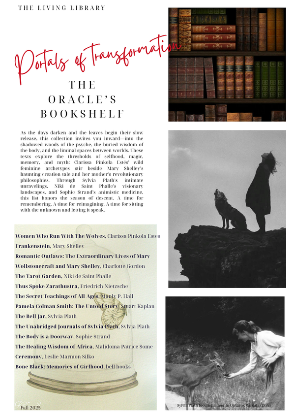 the Oracle's Bookshelf: Portals of Transformation