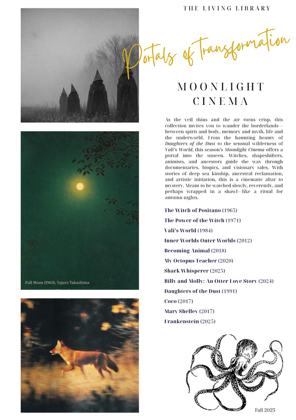 Moonlight Cinema: Portals of Transformation